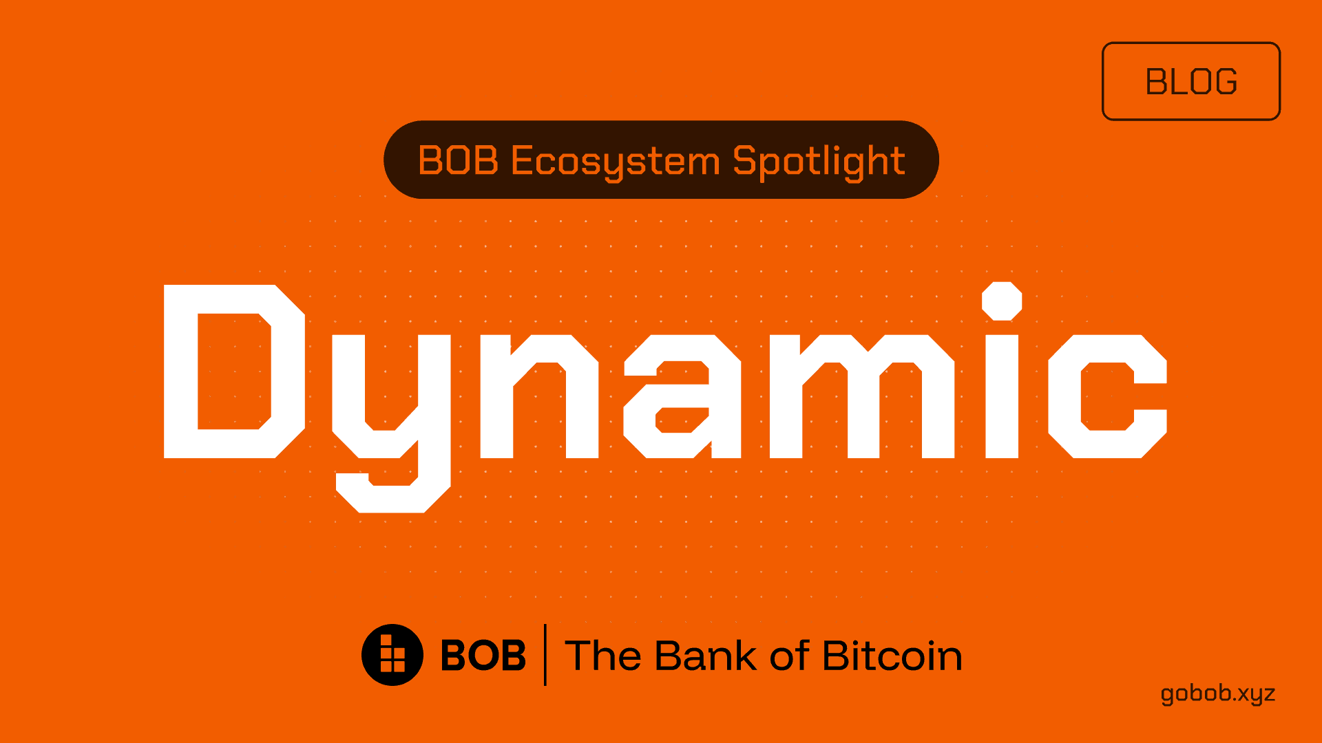 BOB Ecosystem Spotlight #01 — Dynamic