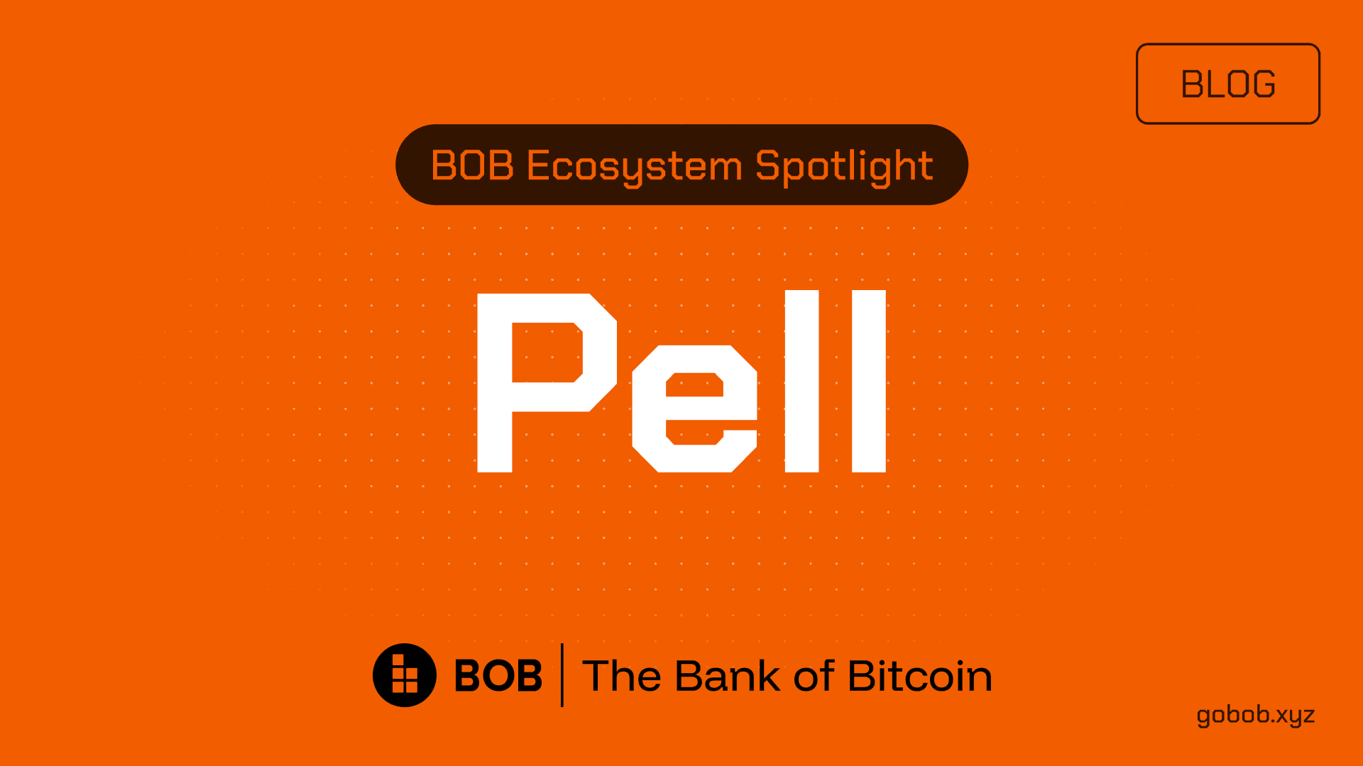 BOB Ecosystem Spotlight #02 — Pell