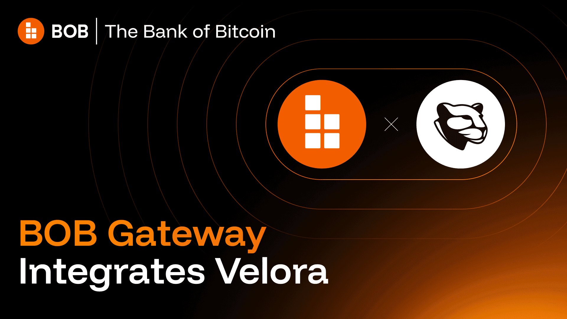 BOB integrates Velora
