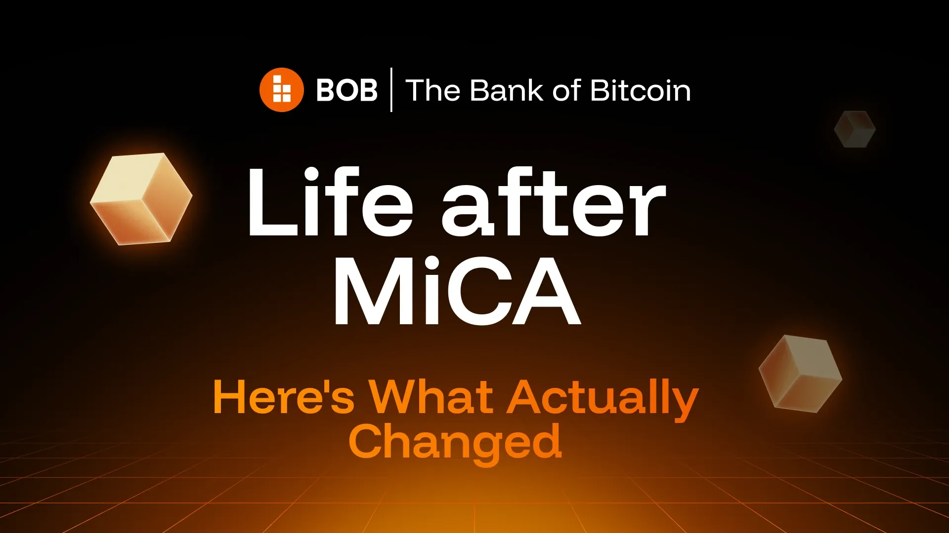 Life after MiCA. Here's What Actually Changed