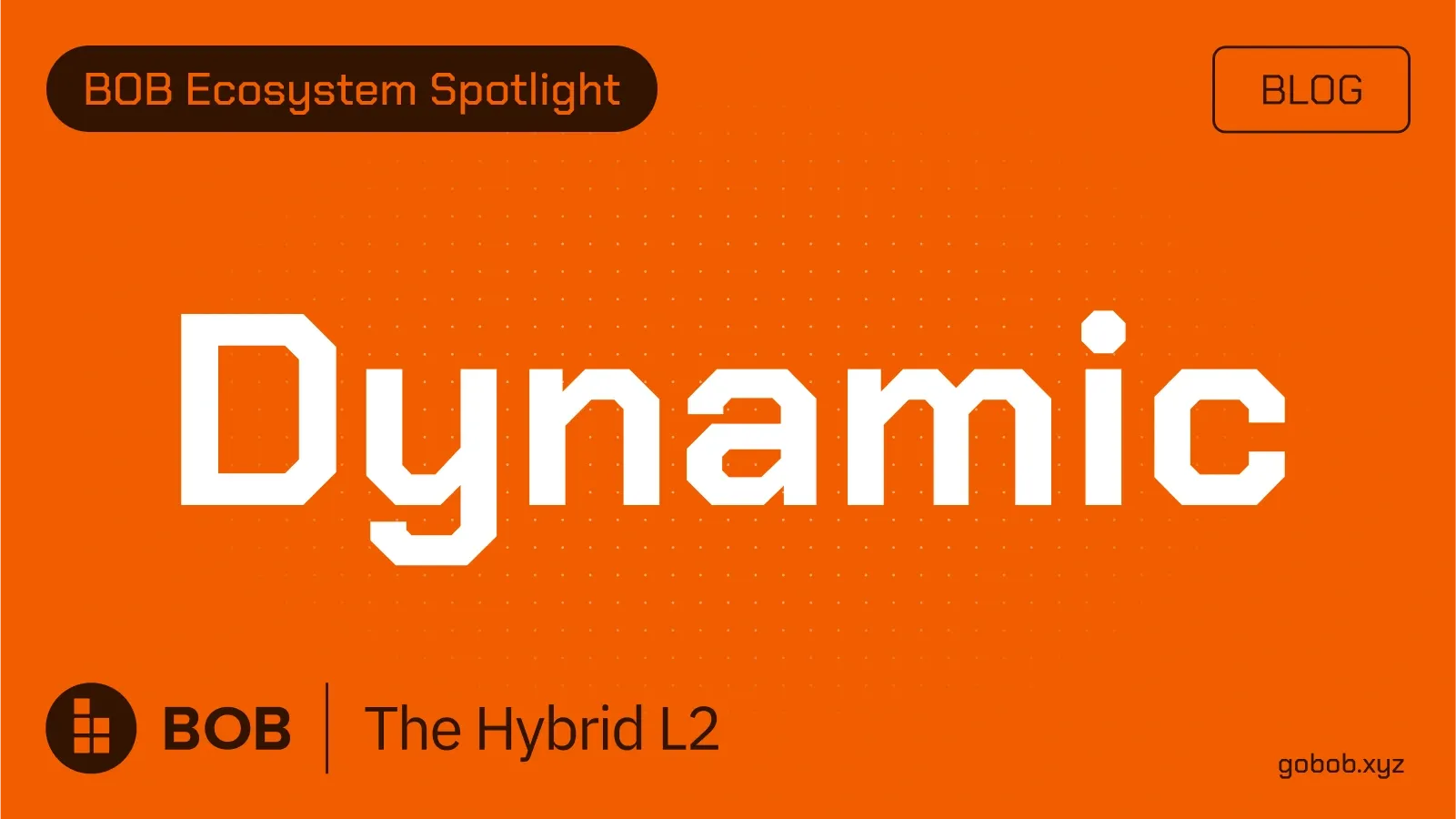 BOB Ecosystem Spotlight #01 — Dynamic